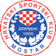Team logo